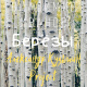 Александр Кузьмин  Project, Владимир Иванов - Берёзы  (2019)